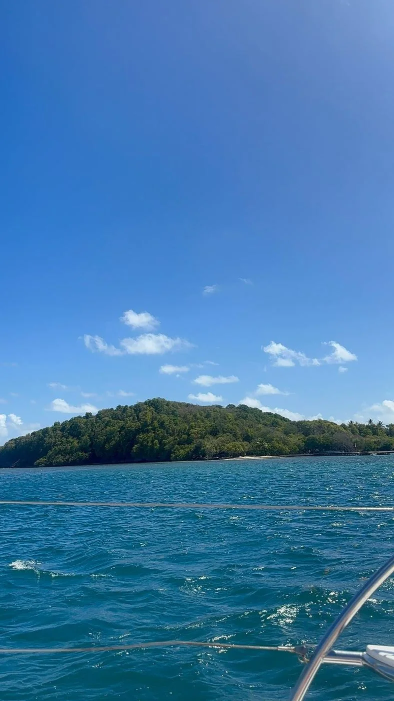 Voyage d’études EMSCA en Martinique, photo 1