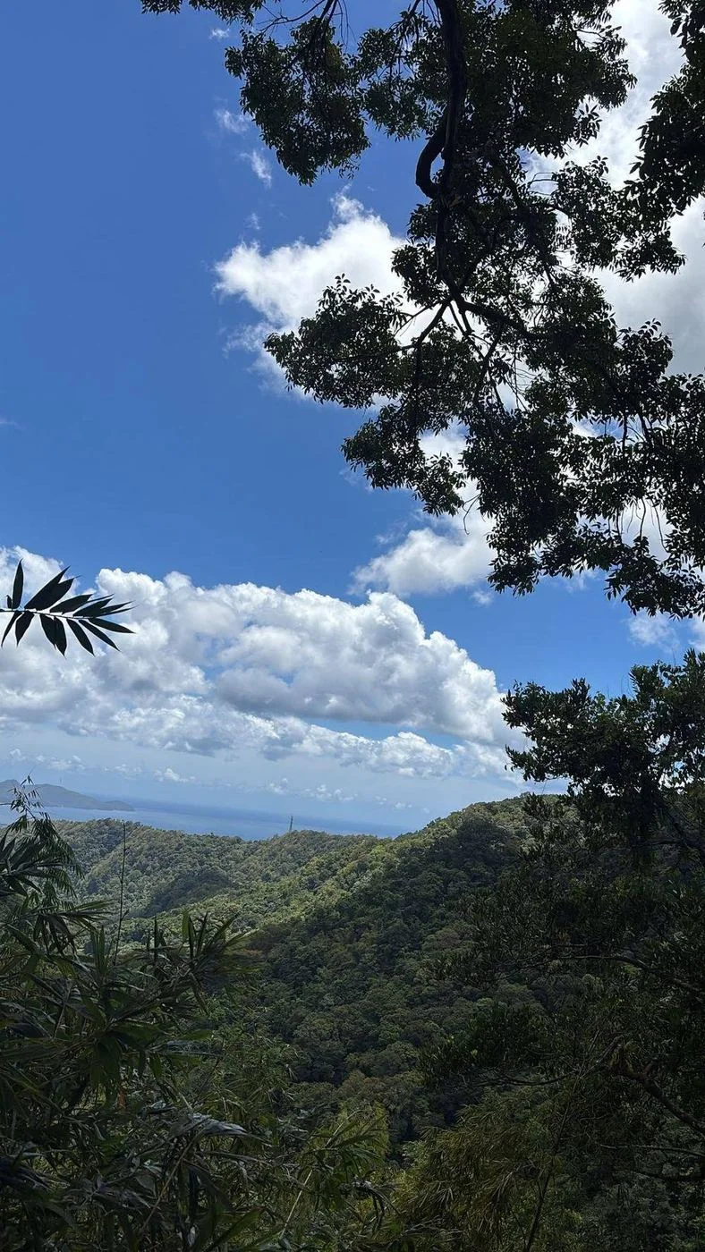 Voyage d’études EMSCA en Martinique, photo 5