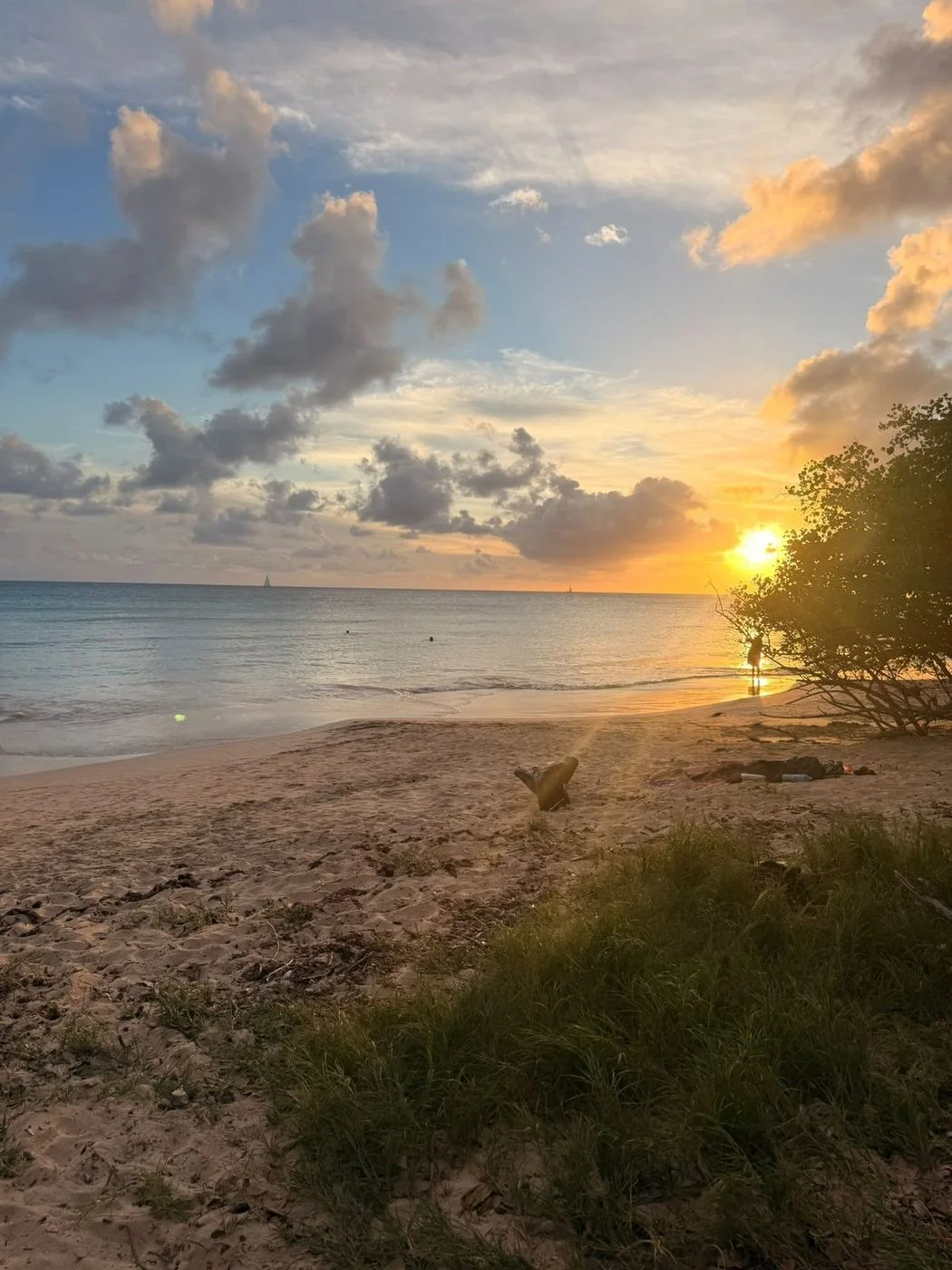 Voyage d’études EMSCA en Martinique, photo 9