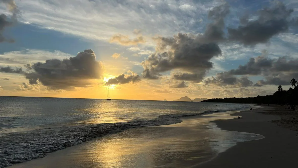 Voyage d’études EMSCA en Martinique, photo 10