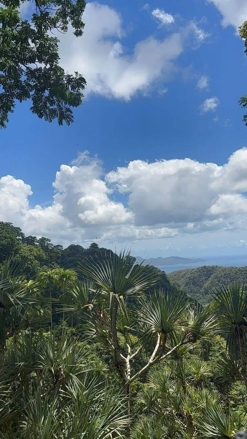 Voyage d’études EMSCA en Martinique, photo 13