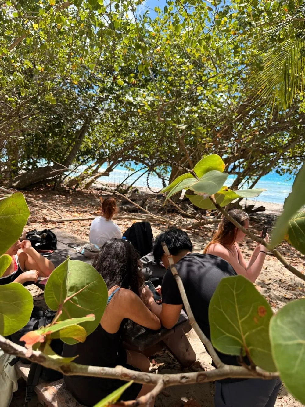 Voyage d’études EMSCA en Martinique, photo 16