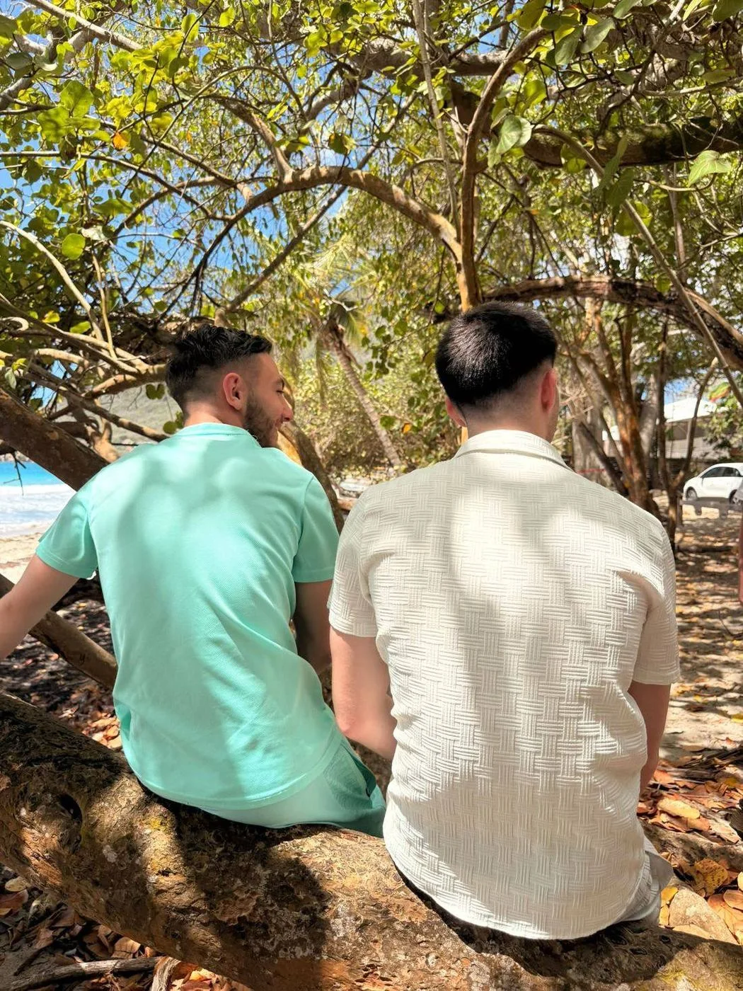 Voyage d’études EMSCA en Martinique, photo 18