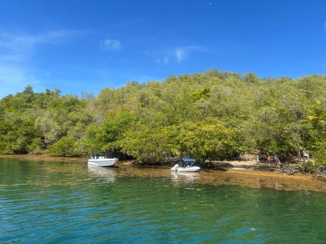 Voyage d’études EMSCA en Martinique, photo 19