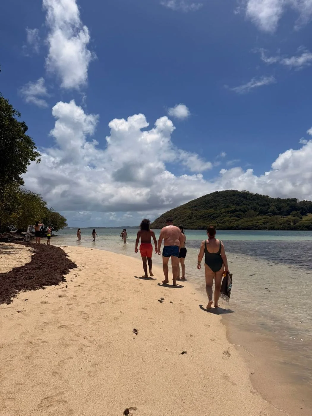 Voyage d’études EMSCA en Martinique, photo 21